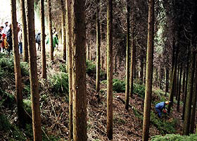 県産木材の安定供給及びさがの木プレゼント事業